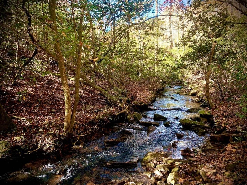The property features nearly 2,000 feet of Straight Creek frontage. 