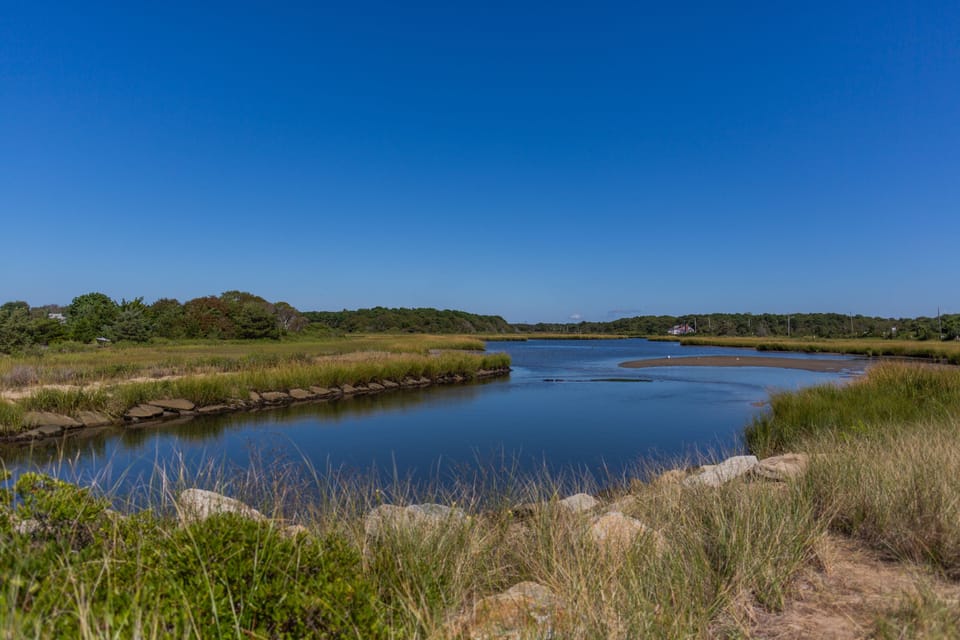 Along Bass River