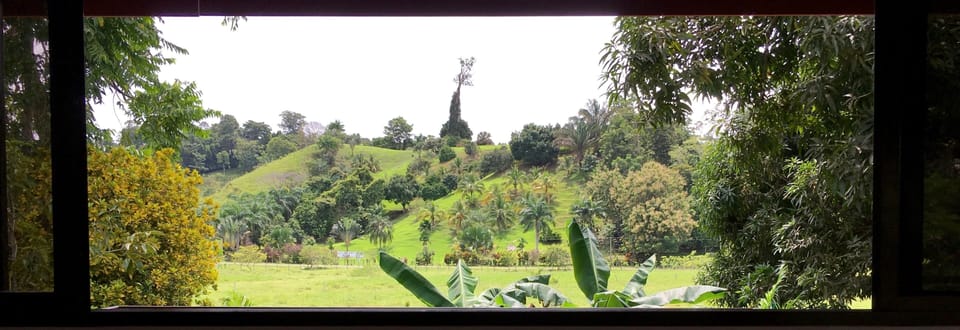 Views from the Matapalo Bedroom
