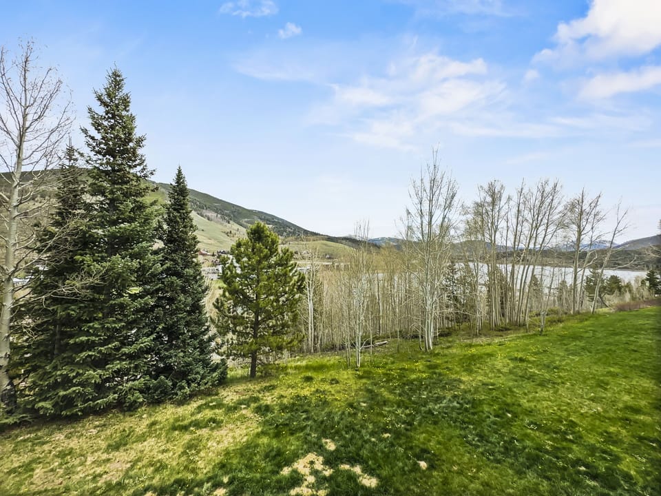 A landscape featuring a mix of evergreen and deciduous trees, grassy field, and hills in the background under a partly cloudy sky.