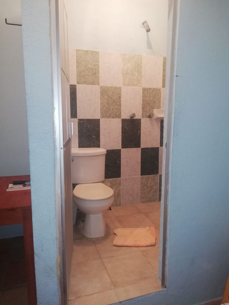 Shower, towels, soap, toilet paper