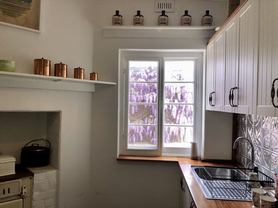 View from the Kitchen window over looking the beautiful Wisteria in full bloom
