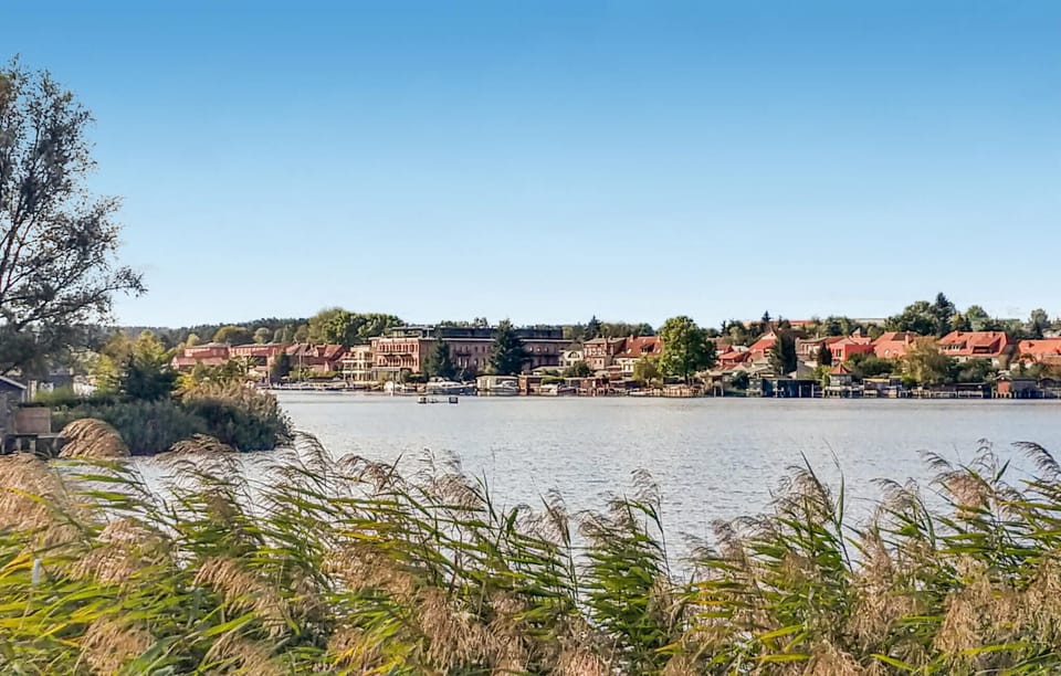 area