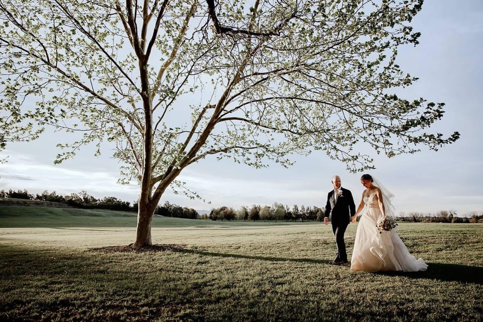 Outdoor wedding area