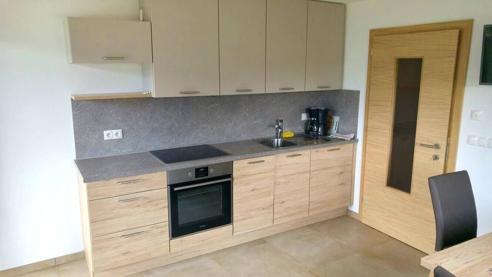 Superior Apartment | Private kitchen | Full-size fridge, oven, stovetop, dishwasher