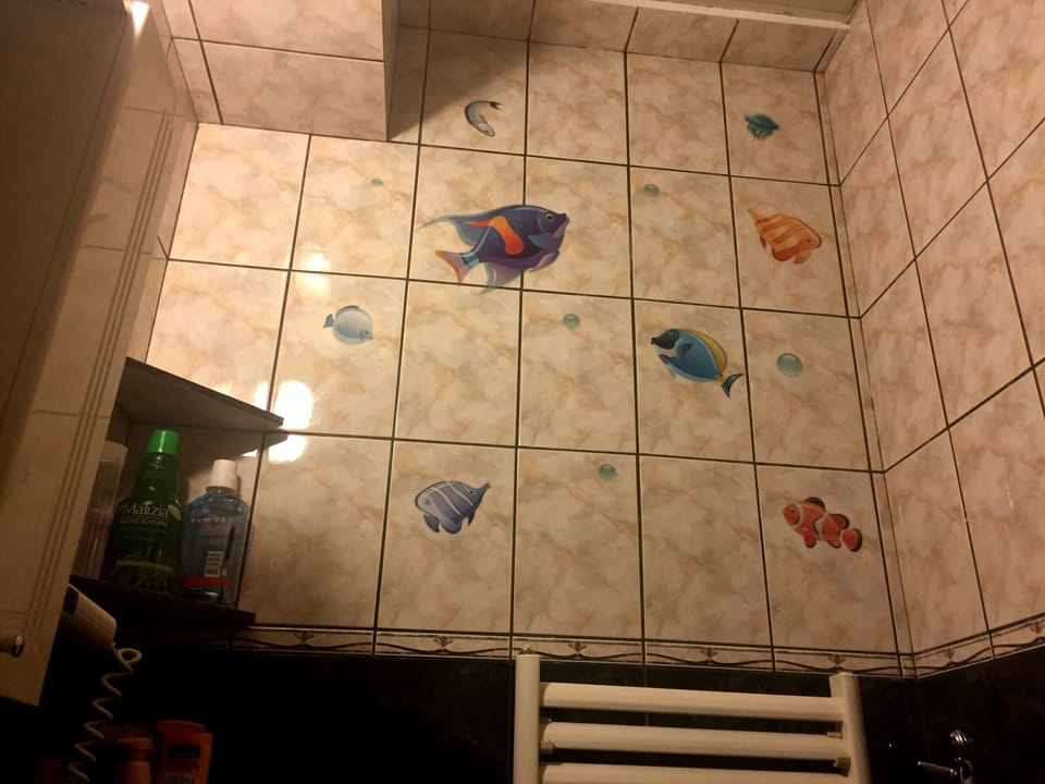 Fishes in the bathroom...