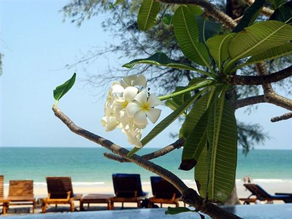 Baan Talay Dao Resort in Nong Kae