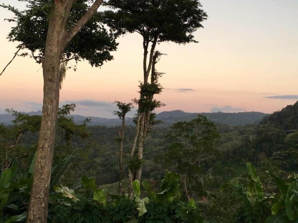 Land view from property