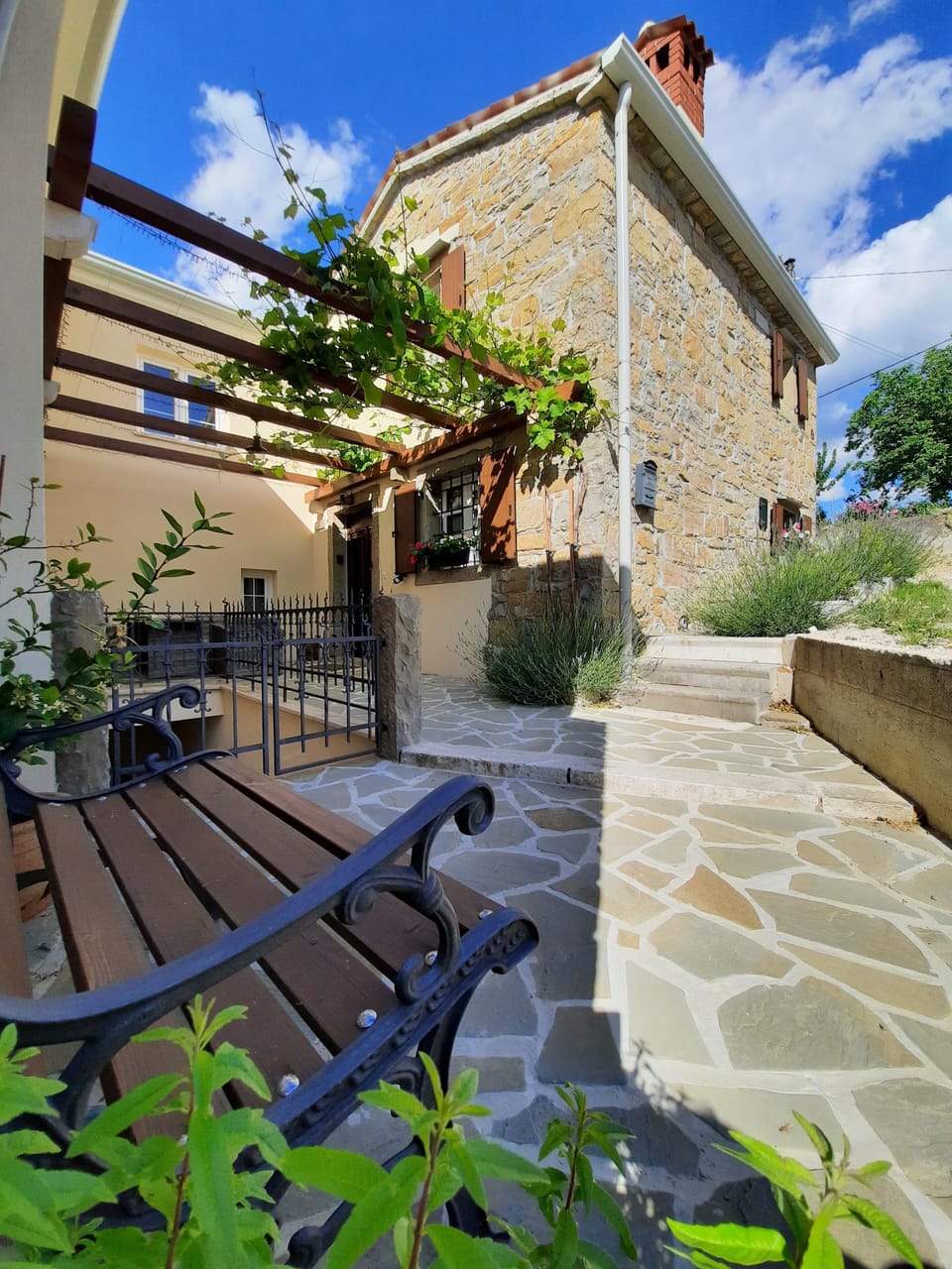 The house