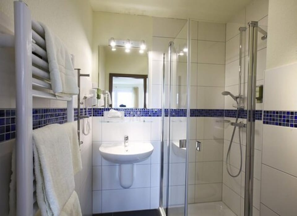 Shower, hair dryer, towels