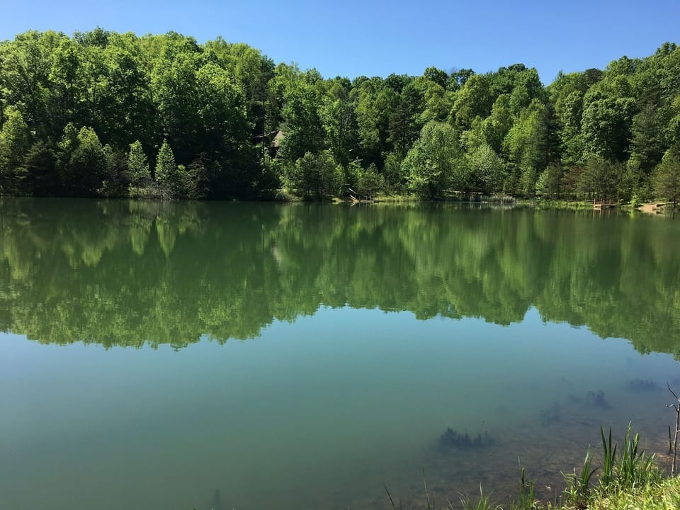 5-acre Deer Water Lake (50 yards downhill from cabin).