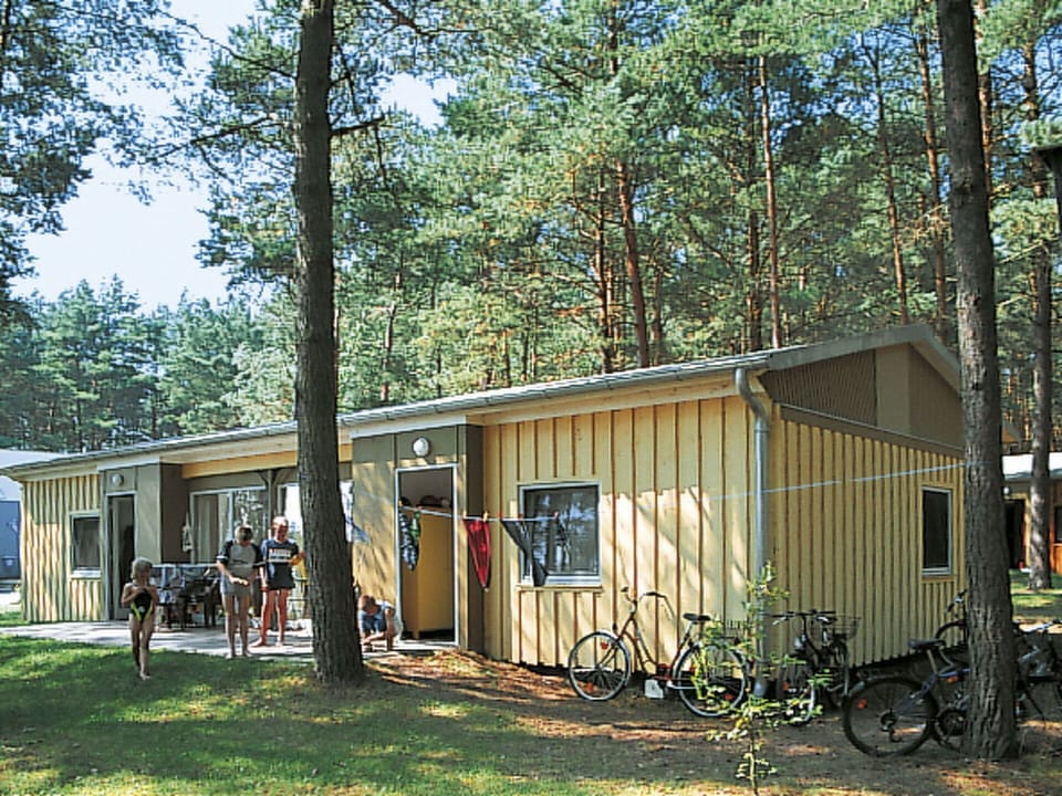 Property, House, Home, Building, Shed, Cottage, Tree, Real Estate, Log Cabin, Siding