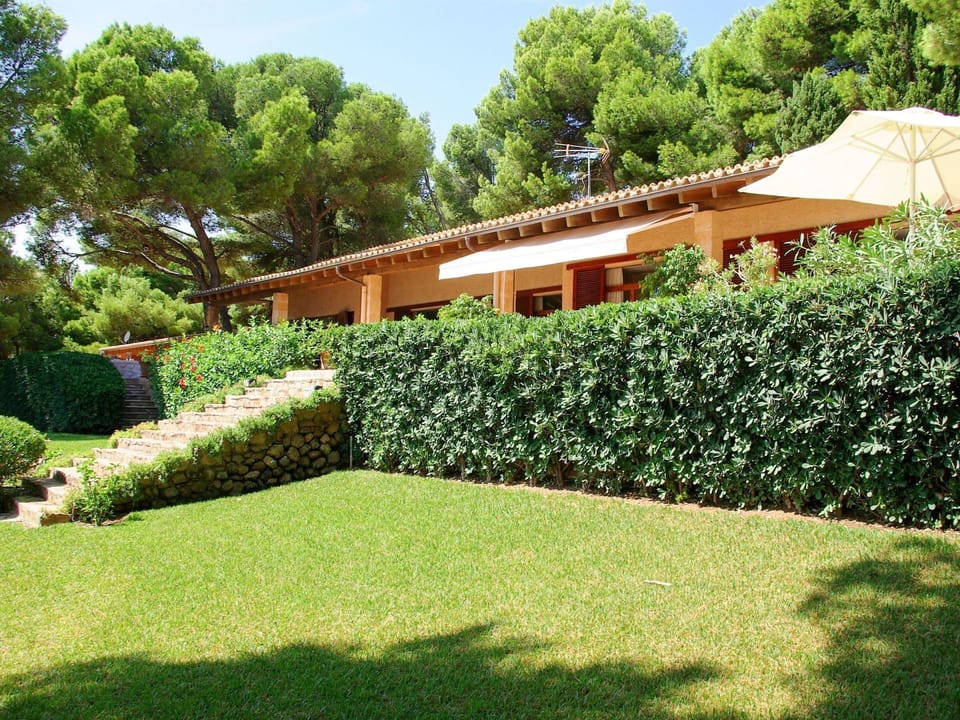 Property, Grass, Backyard, House, Lawn, Garden, Yard, Home, Shrub, Real Estate