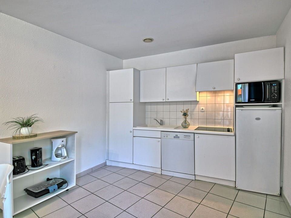 Cabinetry, Countertop, Kitchen Appliance, Home Appliance, Building, Kitchen Stove, Wood, Kitchen, Houseplant, Floor