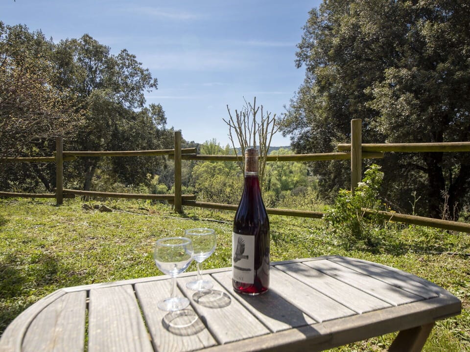 Fence, Outdoor Furniture, Outdoor Table, Wine, Park, Bottle, Glass Bottle