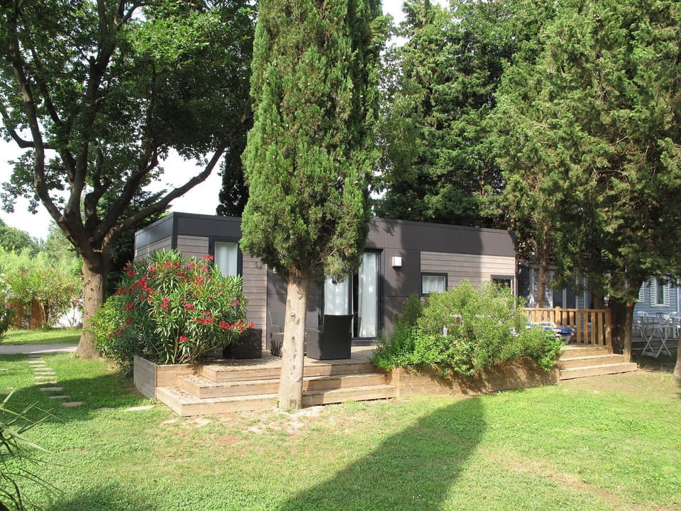 Property, House, Home, Real Estate, Residential Area, Tree, Yard, Grass, Building, Cottage
