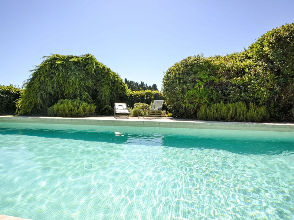 Blue, Water, Green, Swimming Pool, Shrub, Garden, Hedge, Landscaping, Shade, Resort