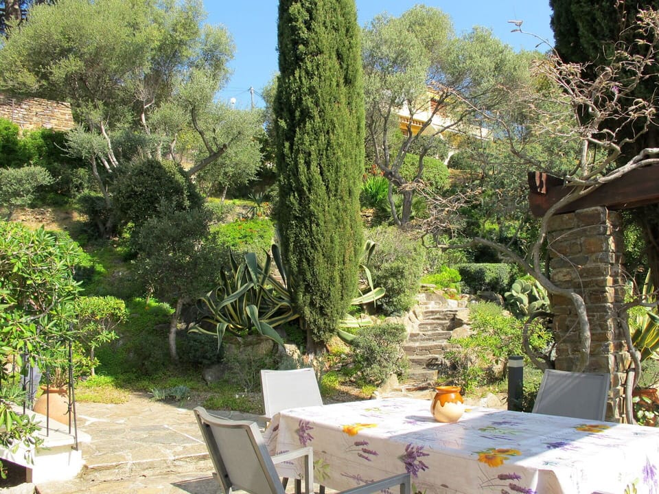 Property, Tree, Vegetation, Garden, Botany, Real Estate, Table, Plant, Botanical Garden, Yard