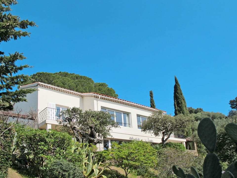 Vegetation, Property, House, Architecture, Real Estate, Building, Home, Tree, Sky, Botany