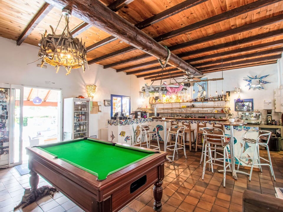 Restaurant, Hotel, Houseplant
