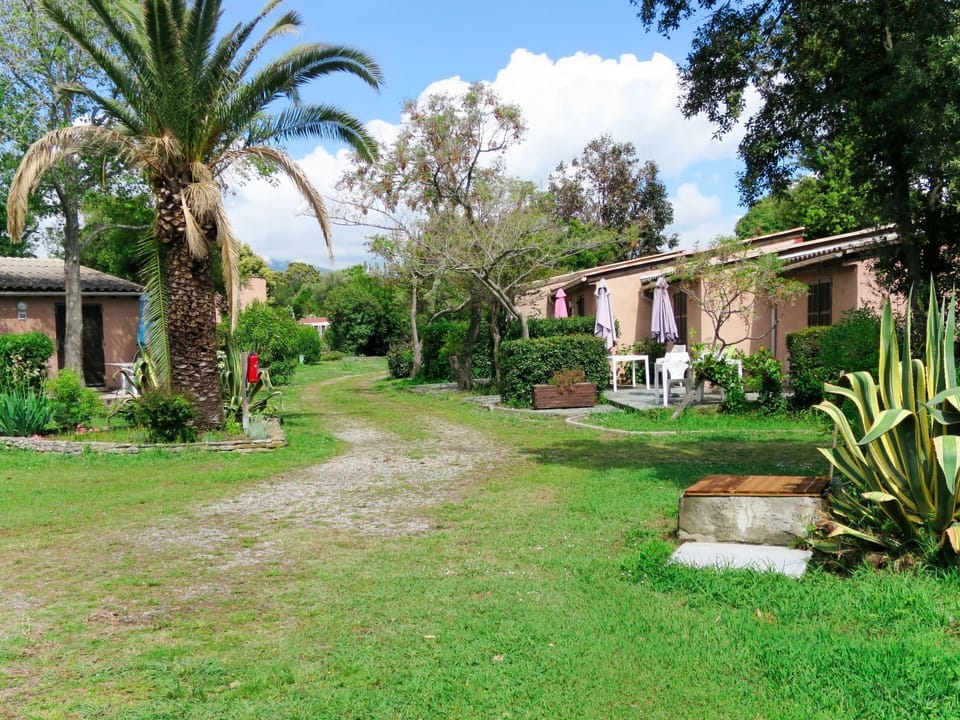 Property, Home, House, Real Estate, Estate, Building, Yard, Grass, Lawn, Residential Area