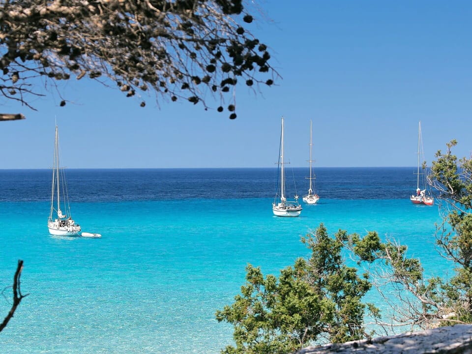 Water, Sky, Boat, Watercraft, Plant, Blue, Azure, Vehicle, Tree, Sailboat