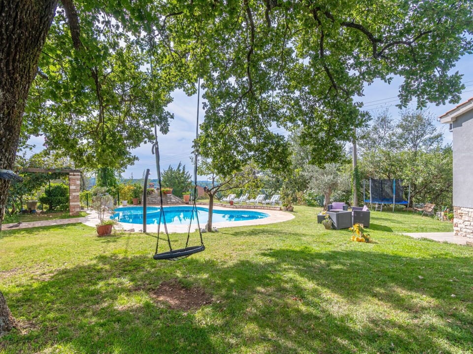 Blue, Tree, Shade, Garden, Lawn, Landscaping, Backyard, Estate, Yard, Park