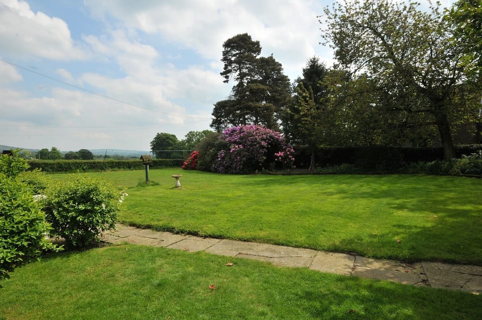 The garden