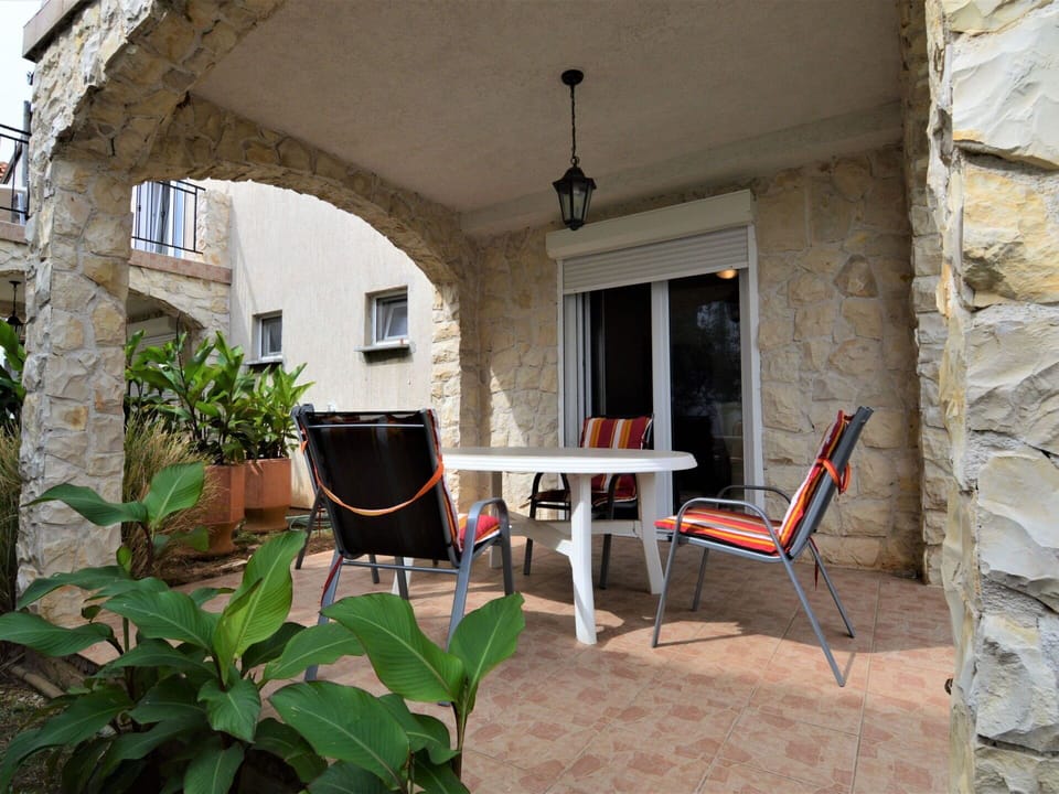 Plant, Furniture, Building, Window, Table, Chair, Flowerpot, Houseplant, Shade