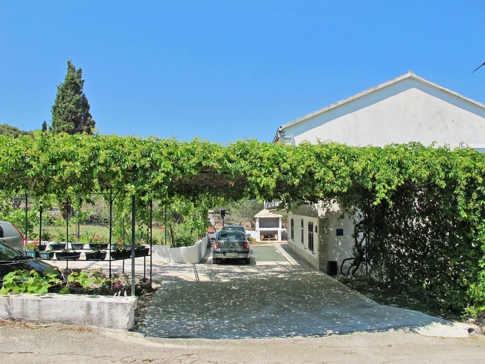 Plant, Sky, Building, Car, Vehicle, Land Lot, Vegetation, Wheel, House