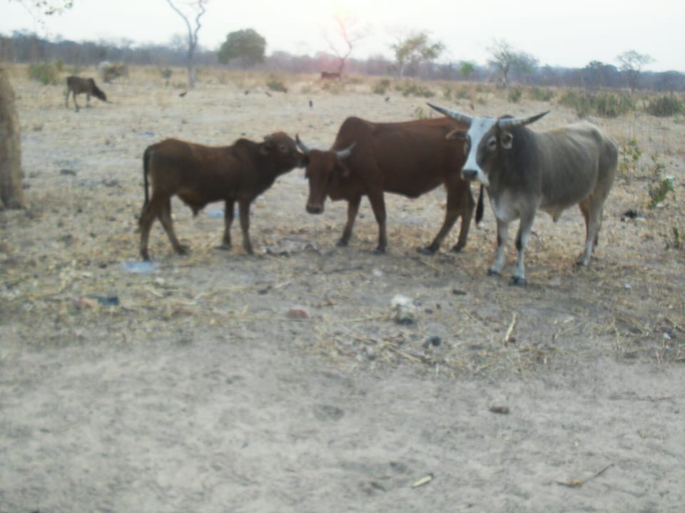 Ecotours