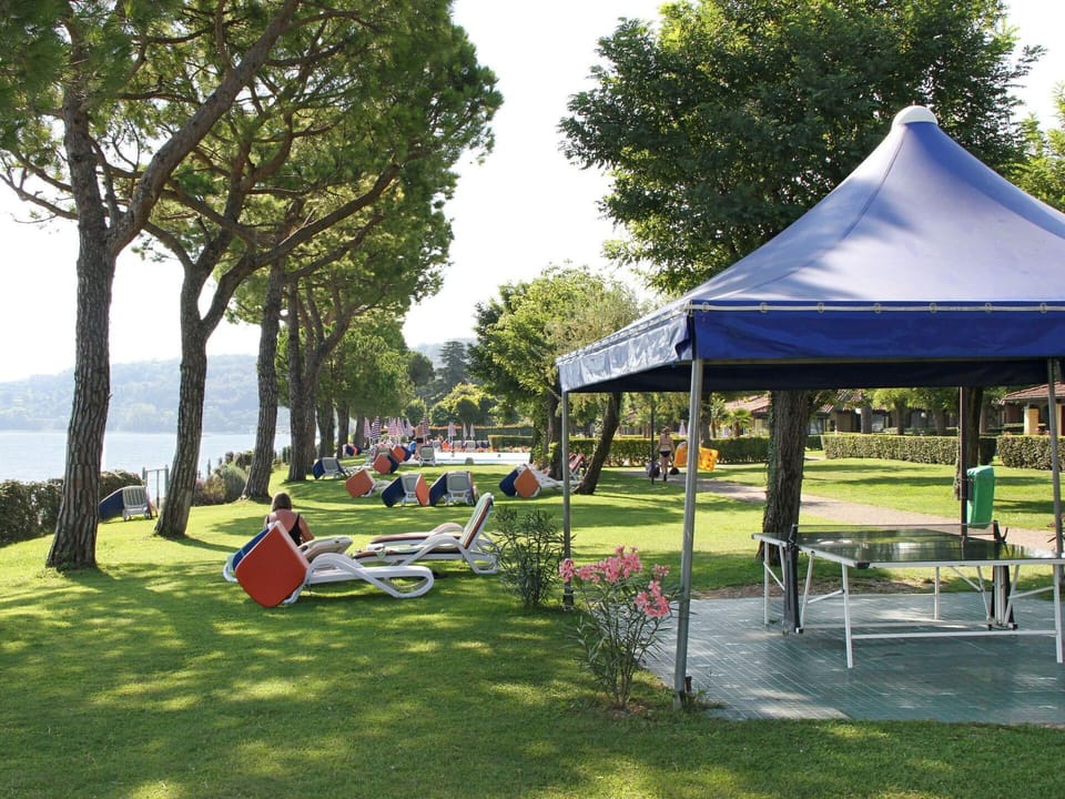 Plant, Sky, Tree, Tent, Shade, Outdoor Furniture, Grass, Leisure, Recreation, Chair