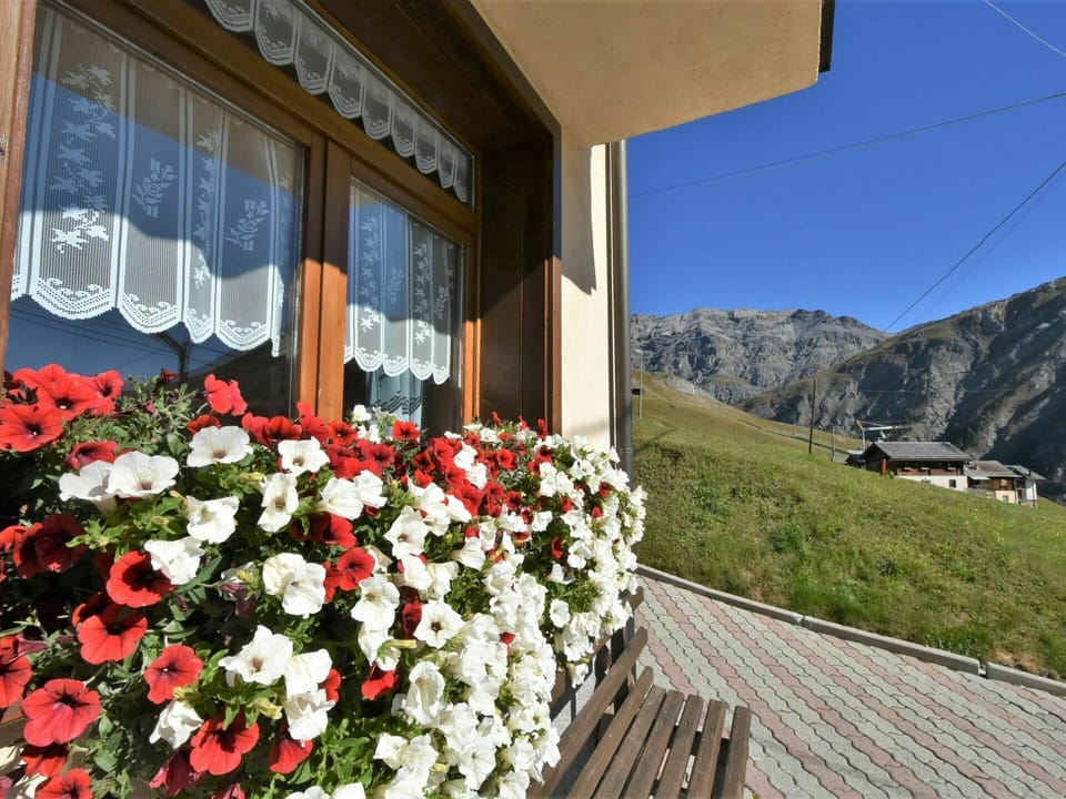 Plant, Flower, Building, Property, Window, Flowerpot, Sky, Mountain, House, Petal