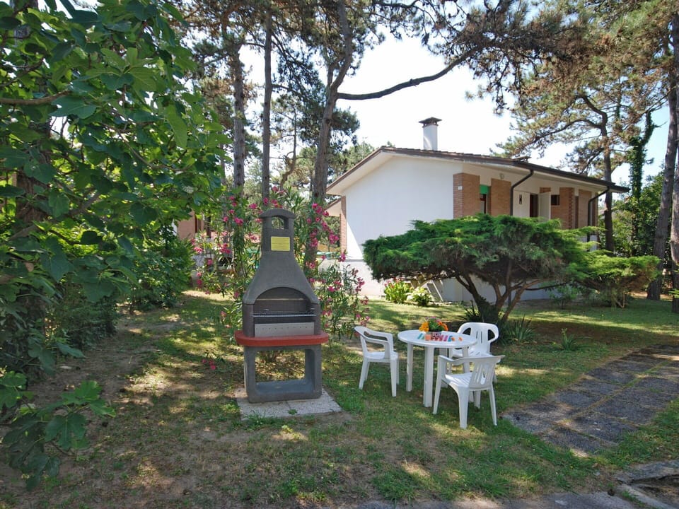 Plant, Building, Chair, Tree, Sky, House, Outdoor Furniture, Window, Shade, Grass