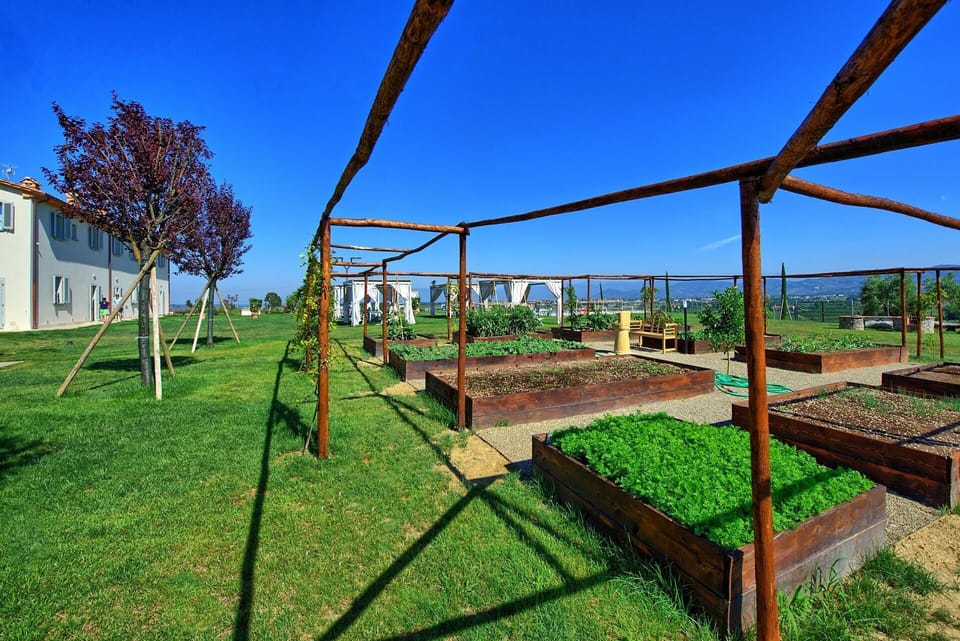 Activities, Garden