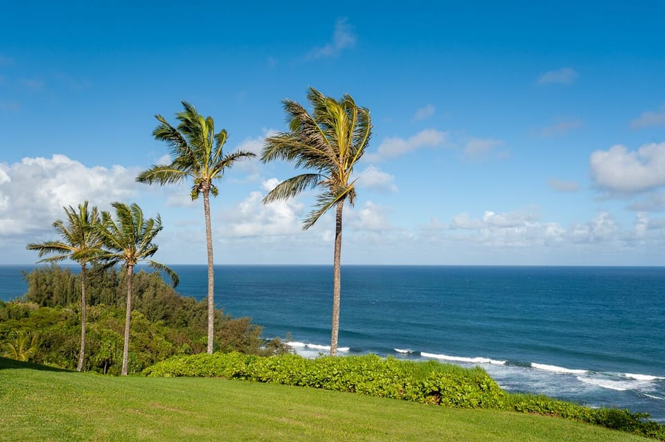 Sealodge A6 | Princeville vacation rentals at Sealodge 29 - Sealodge A6 | Kauai Kahuna | Princeville vacation rentals at Sealodge Kauai | oceanfront views from the grounds