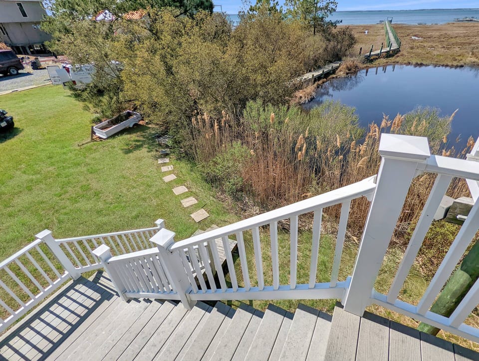 Back Steps