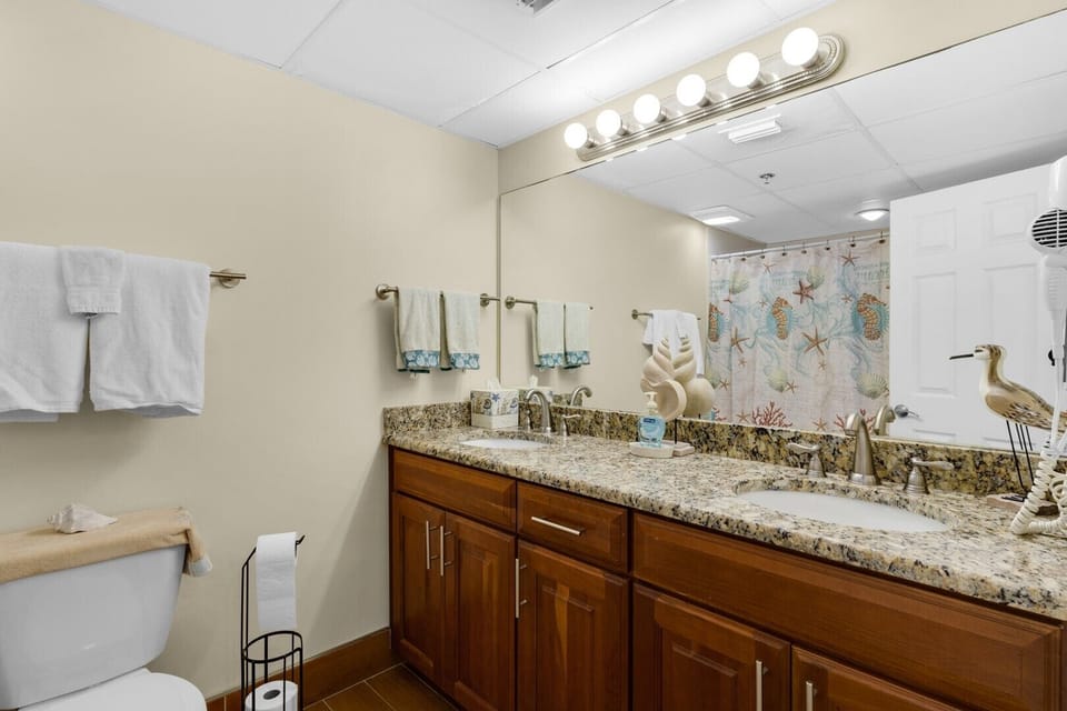 Guest bathroom