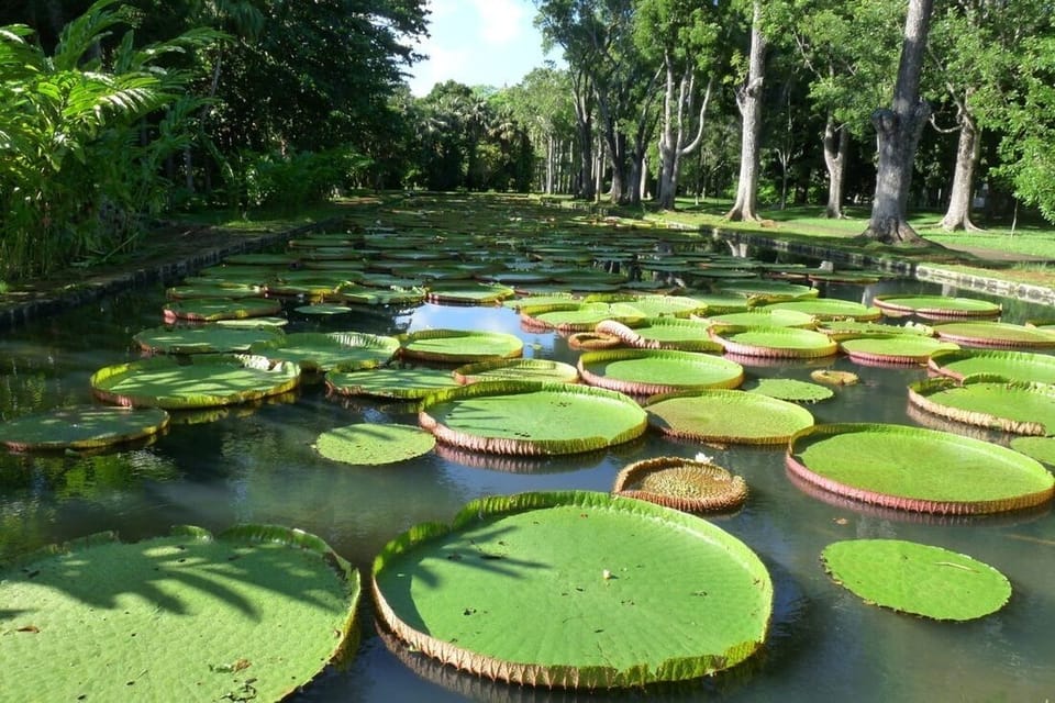 Botanical Garden 