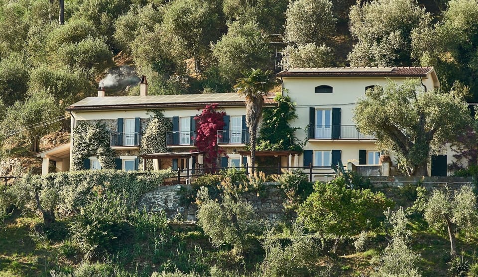 Fantastic House in amazing olive grove setting! Great views & wonderful pool.