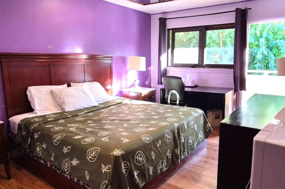 Room, 1 King Bed, Non Smoking | Desk, free WiFi