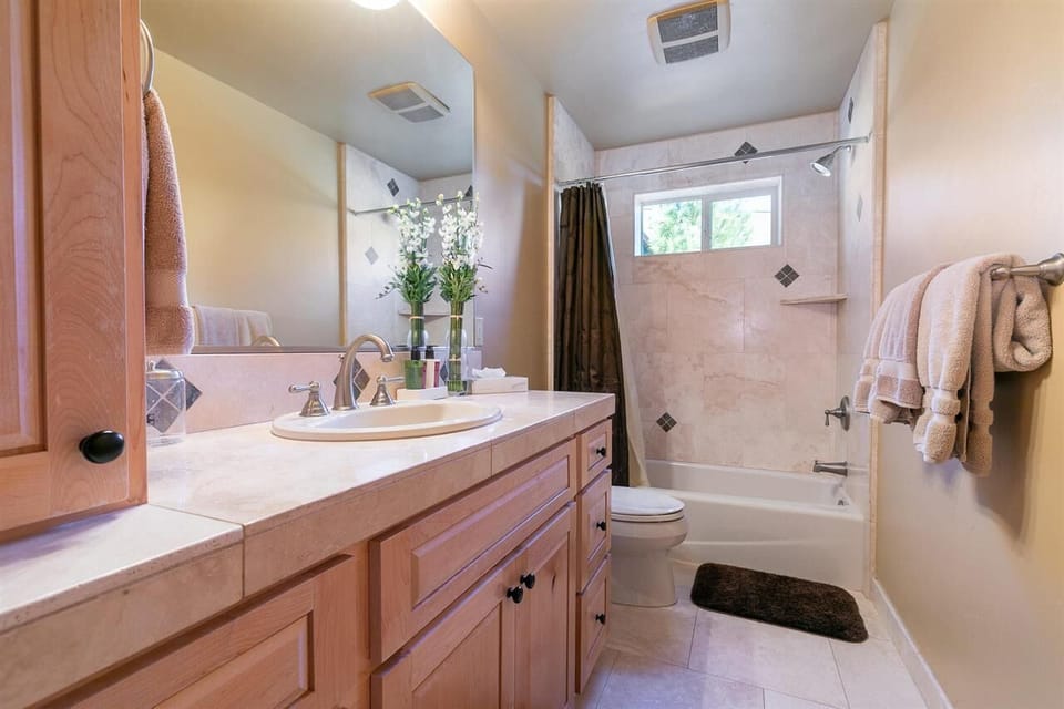 Lower level full bathroom