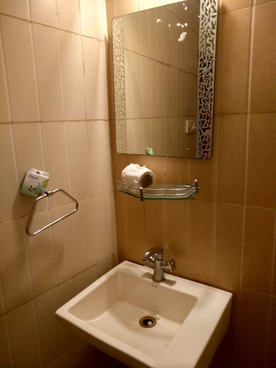 Standard Double or Twin Room | Bathroom | Shower, free toiletries, towels
