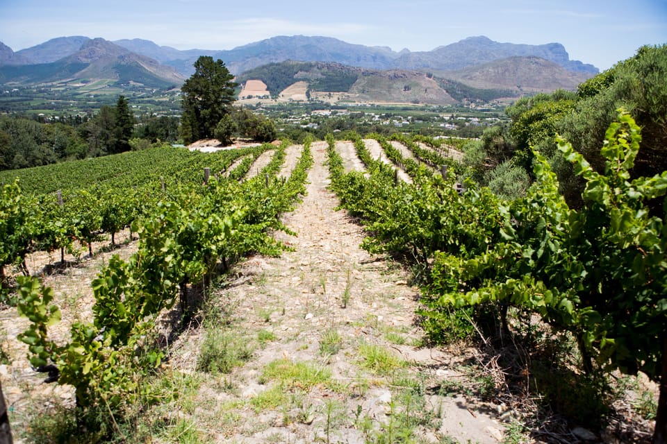 Winery