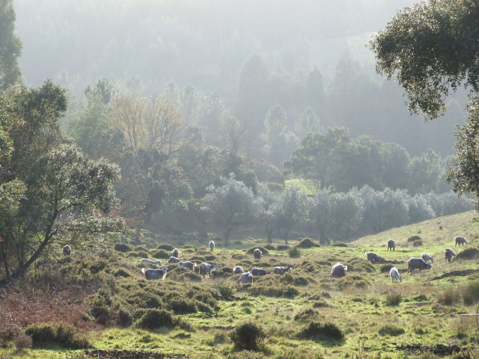 Vumba - The Bue-Maria Suite Country House in Coimbra District, Portugal