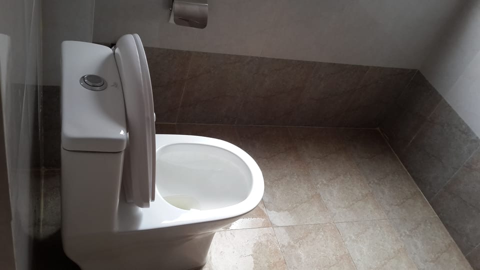 Basic Single Room, 1 Bedroom, City View | Bathroom | Free toiletries, hair dryer, slippers, towels
