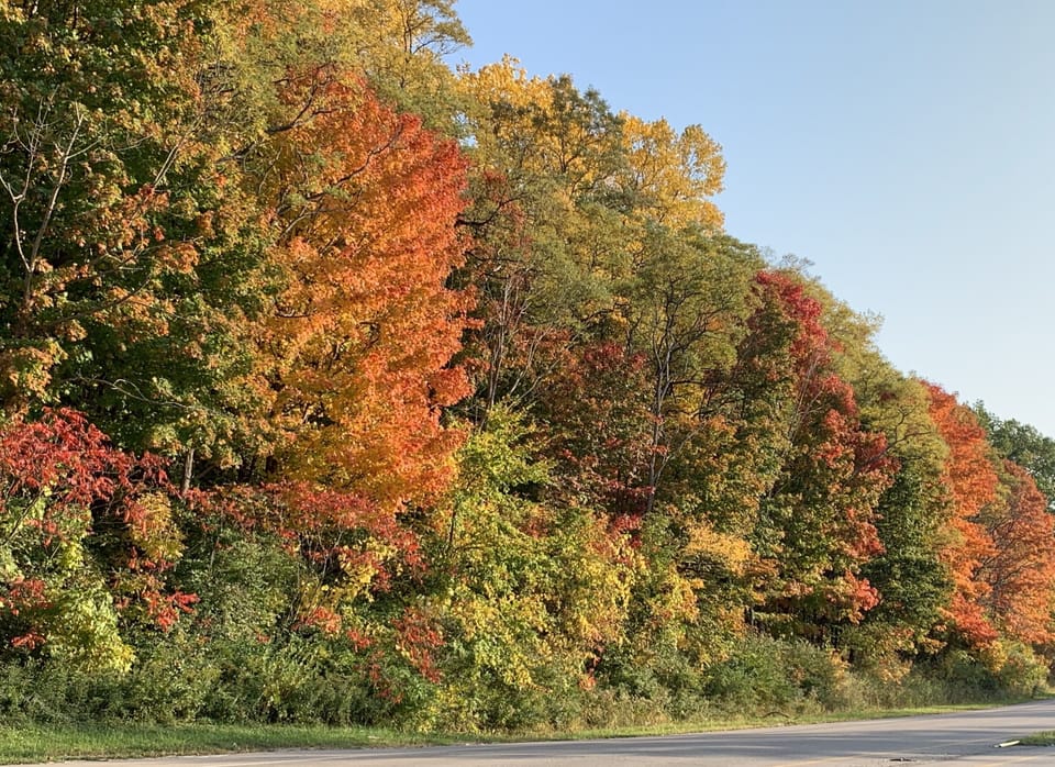 Awesome fall colors!