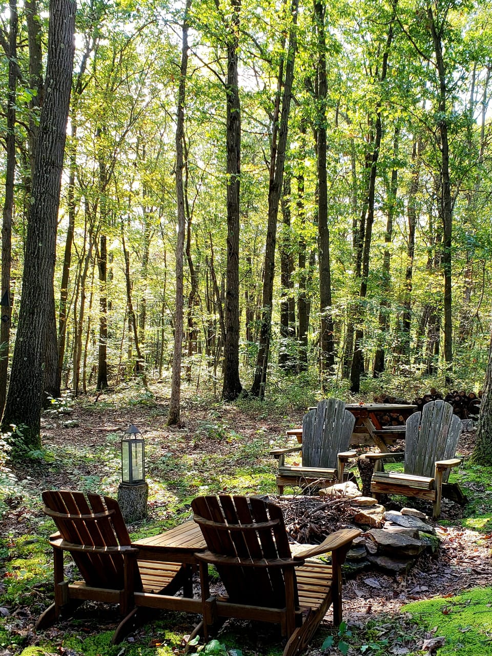 Private back yard