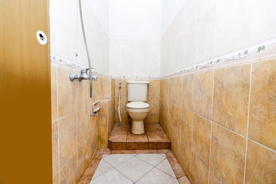 Deluxe Double Room | Bathroom shower