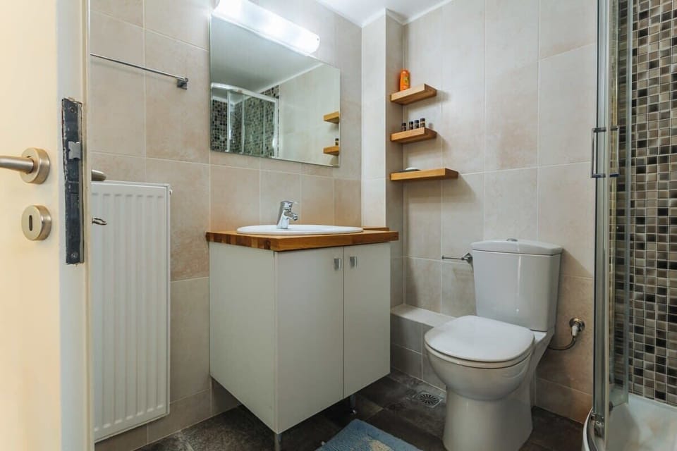 Bathroom of the House with WC, Sink, and Shower Setup